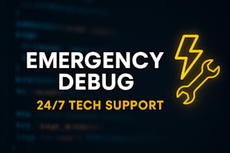 perform emergency debugging and support