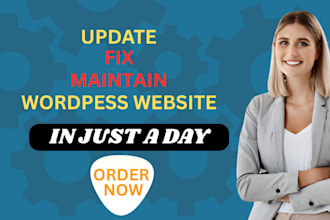 update, fix, and maintain your wordpress website professionally
