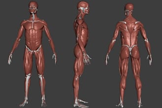 create 3d anatomy, medical device, pathology, product prototype and illustration