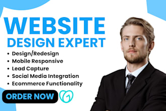 design or redesign wordpress website godaddy ionos bluehost hostinger siteground