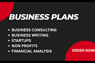 write detailed business plans for startups, loan, nonprofits