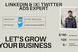 be your linkedin ads and twitter ads expert