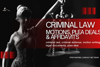 write criminal defense legal documents motion appeal expert legal assistance