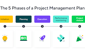 manage your software project as a professional project manager