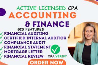 do accounting and finance assignment, financial statement analysis, excel report