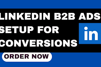 set up and manage linkedin ads and b2b lead generation campaigns