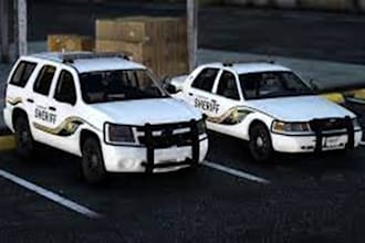 design custom livery for fivem ems, police, sports vehicles, bikes, chain, ped
