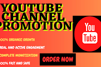 organic channel promotion youtube channel monetization video promotion gain view