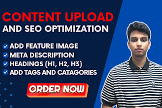 upload content and implement on page SEO optimization on your website