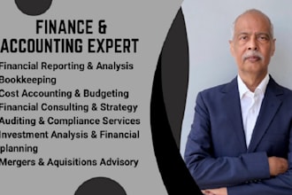 provide expert finance and accounting services