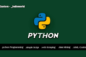 writing to program your python project, web scraper and more