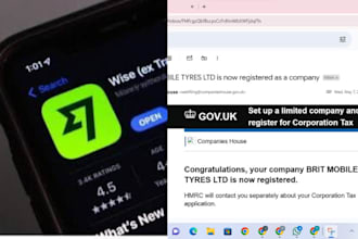 register llc or ltd  for business and personal wise account
