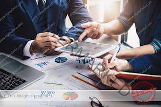 business model and consulting