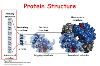 3d structure solution of protein and complexes