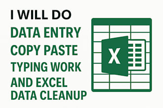 provide typing data entry and excel cleanup service