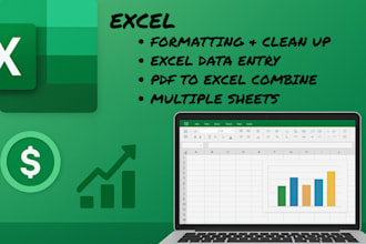 clean, format, merge, splite excel data