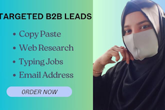 do targeted b2b leads, copy paste, web research, typing jobs