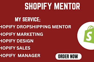 be your professional shopify mentor, coach and consultant