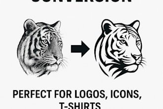 do professional image tracing, convert raster to vector