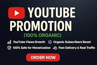 do fast and organic youtube video promotion for channel monetization