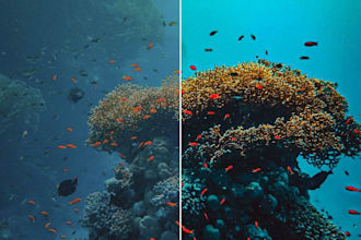 professionally color correction and upscale your videos to 4k or 8k