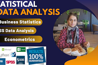 do statistics, business statistics, economics, data analysis in spss, stata, r