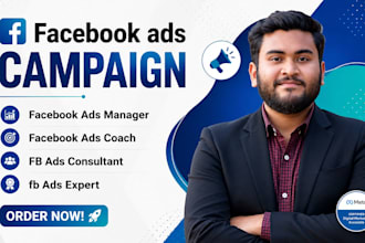 be a facebook ads campaign manager, advertising expert, coach, and consultant