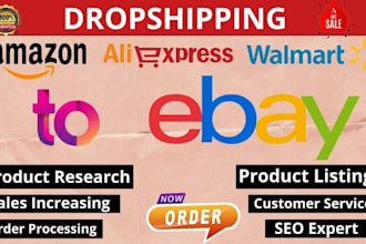 amazon walmart ebay dropshipping full store management
