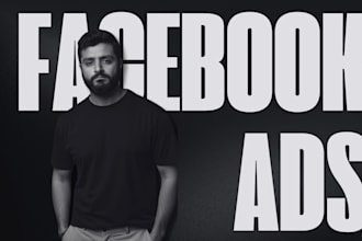 be your facebook ads manager, setup fb ads and instagram ads