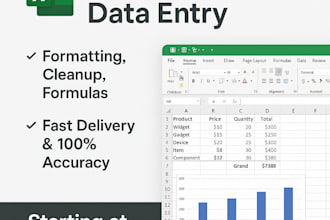data entry, excel formatting, and create professional spreadsheets