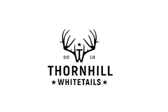 make a gorgeous minimalist line art logo design