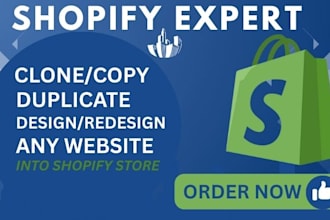 professionally duplicate, clone, or copy any shopify store