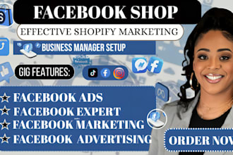 setup a fb ads expert fb business manager facebook ads manager fb adversting