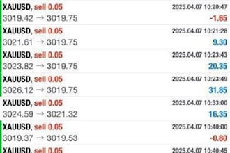 provide a forex trading bot, forex ea robot, forex ea trading trading bot
