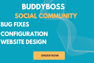 build or customize your buddyboss community website