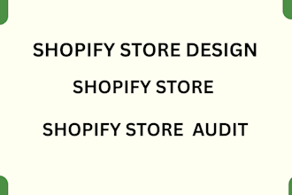 audit your shopify store for performance check