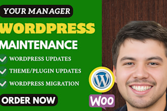 provide priority wordpress support, manager help fix ongoing website maintenance