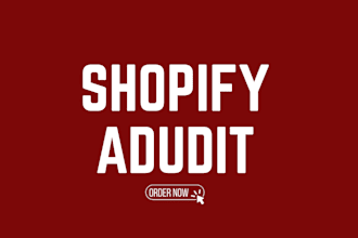 perform shopify audit for optimal performance check