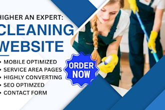 design a carpet home window cleaning website with wordpress
