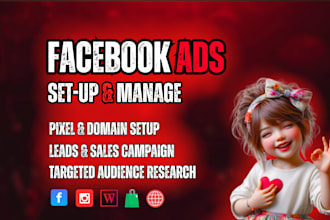 setup facebook ads campaign and instagram ads for leads and sales, shopify fb ad
