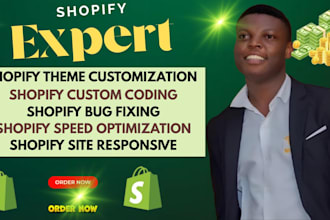 do shopify bug fixing errors shopify custom code shopify theme customization