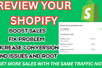 audit, review and optimize your shopify dropshipping store