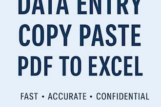 convert PDF to excel fast and accurate data entry services