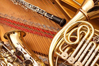 be your male vocalist and songwriter in electro, classical, tropical and disco