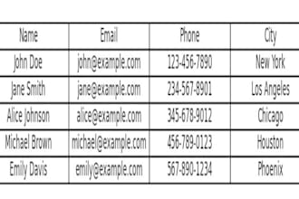 do accurate and fast data entry in excel, word, or sheets