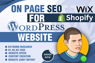 boost your SEO for wordpress, shopify, webflow, wix