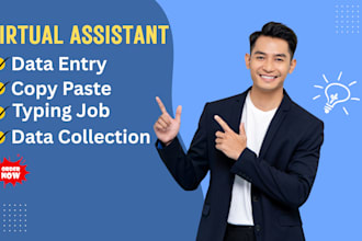 be virtual assistant for data entry, copy past, typing job, web research