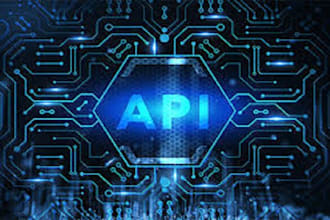 do api integration rest api wordpress api shopify api zapier integration web api