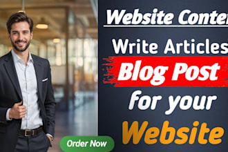 write SEO optimized blog posts for your niche website