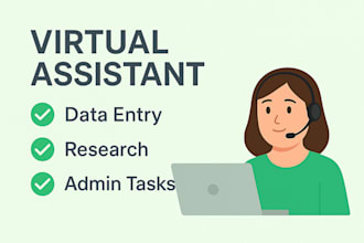 be your virtual assistant for data entry admin task